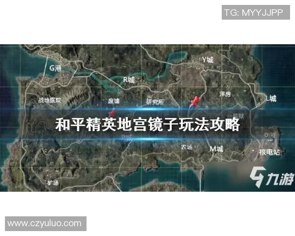 原生力啤酒与黑水精英的对决谁能赢得市场的青睐与消费者的心