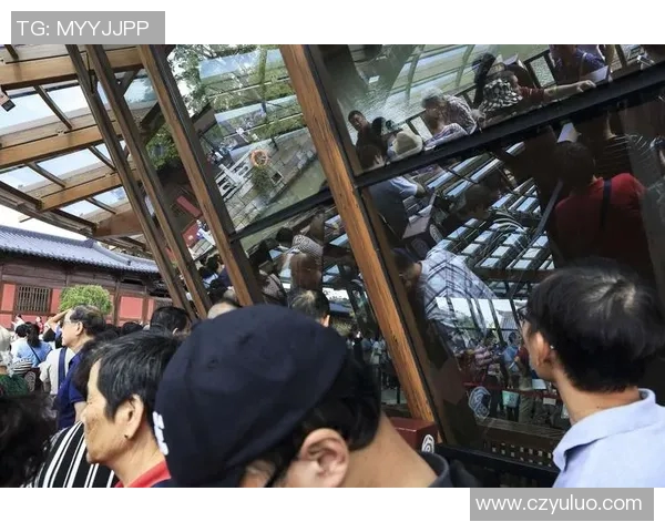 苏维埃与莫路军的对抗与较量：历史的回顾与未来的启示